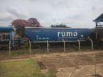RUMO HTT-350781-5